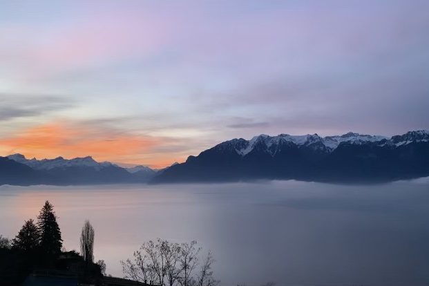 L’impact des émotions dans le processus de changement et de coaching