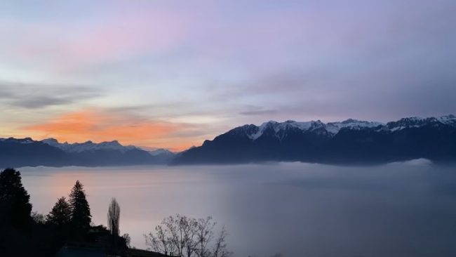 Impact des émotions sur nos comportements L’impact des émotions dans le processus de changement et de coaching