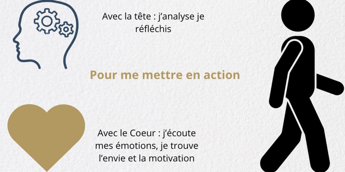 Alliance coaching et leethérapie