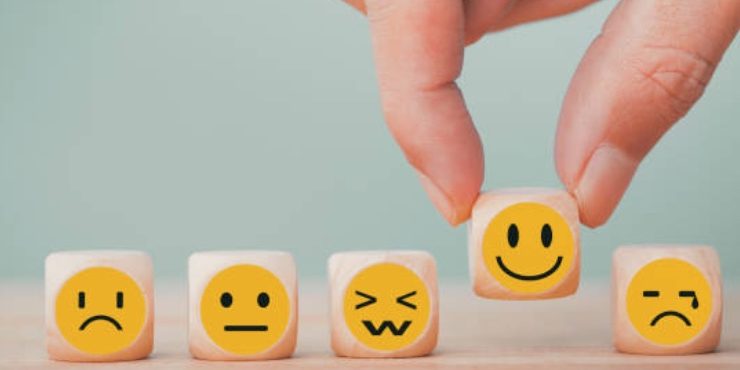 516A0E43-2089-43E5-AF42-A291426DA5D7 Gestion des émotions en entreprise